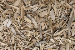 biomass boilers Llandysilio
